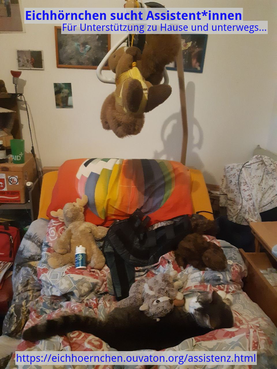 Pflegebett mit Kissen und Plǘschtiere und eine Katze