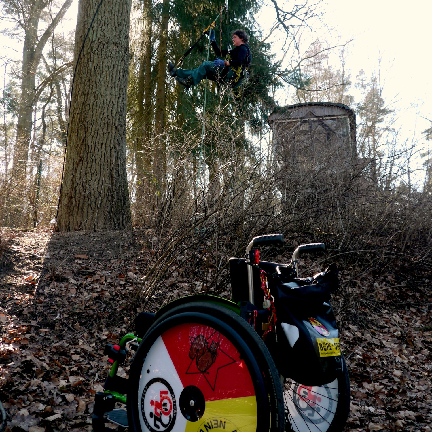 Rollstuhl auf dem Boden und im Baum ene Person die klettert